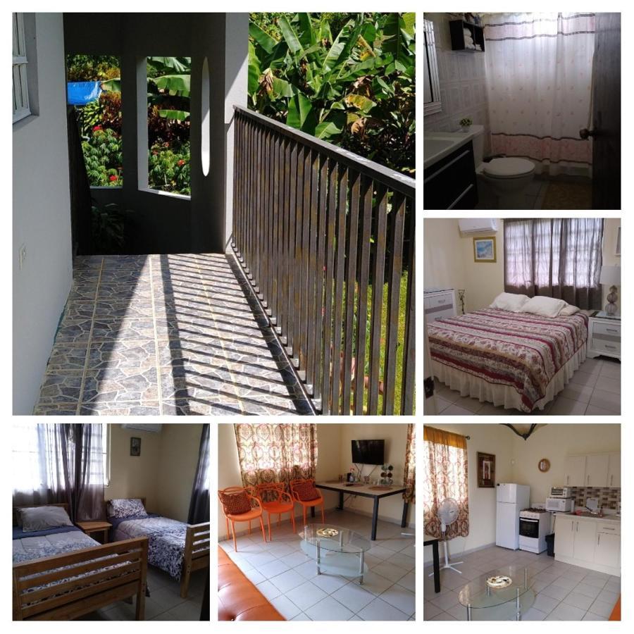 Casa de Campo Rio Arriba Arecibo Exterior foto